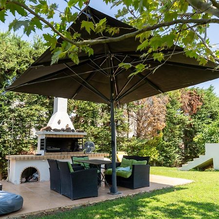 Beautiful Summer Villa In Chalkoutsi Khalkoutsion Екстериор снимка
