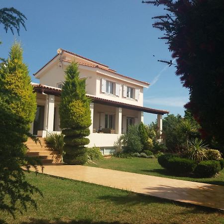 Beautiful Summer Villa In Chalkoutsi Khalkoutsion Екстериор снимка