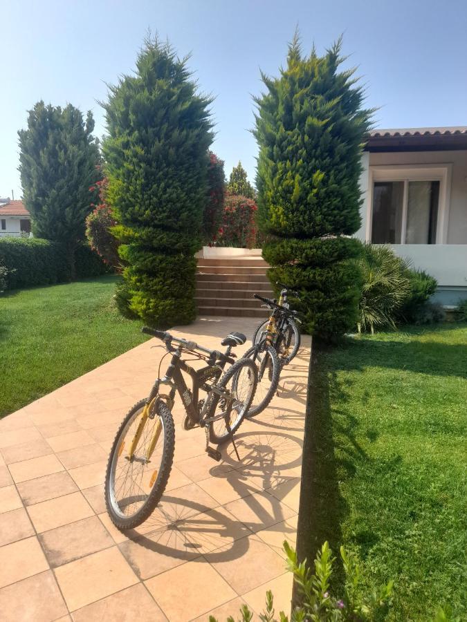 Beautiful Summer Villa In Chalkoutsi Khalkoutsion Екстериор снимка
