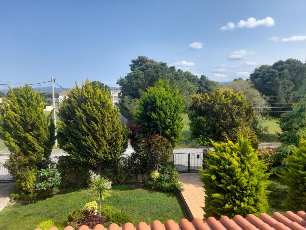 Beautiful Summer Villa In Chalkoutsi Khalkoutsion Екстериор снимка