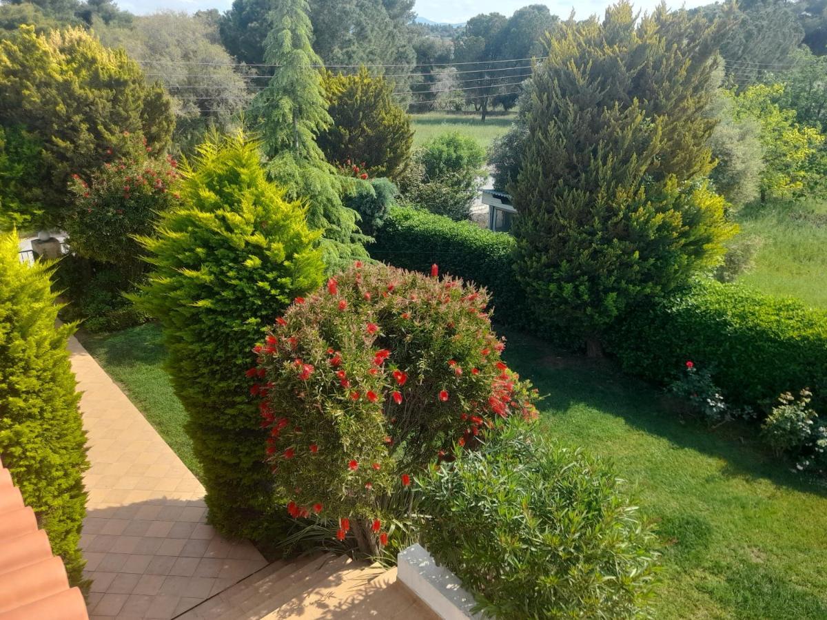 Beautiful Summer Villa In Chalkoutsi Khalkoutsion Екстериор снимка