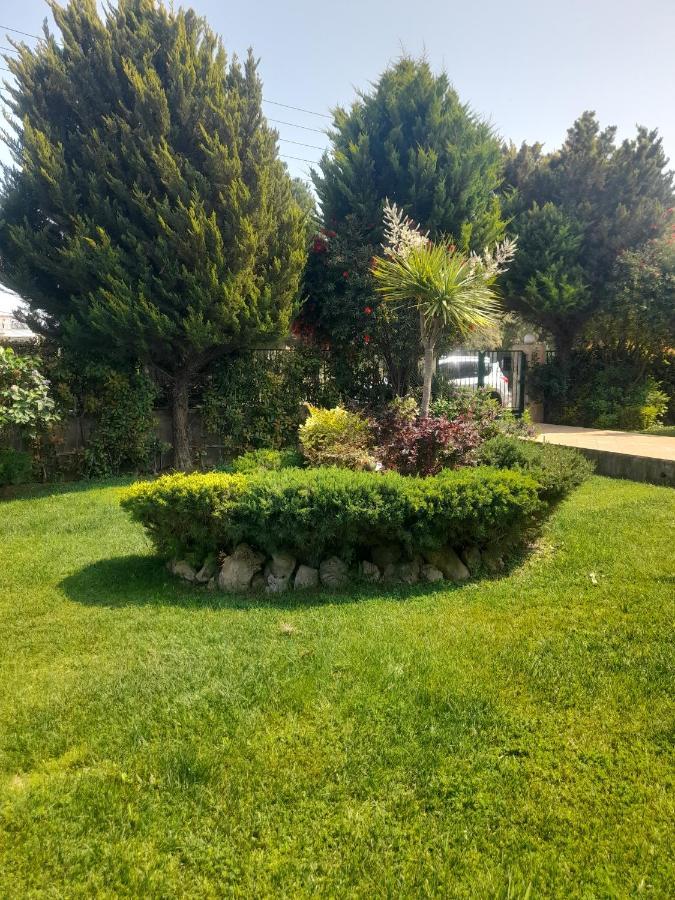 Beautiful Summer Villa In Chalkoutsi Khalkoutsion Екстериор снимка