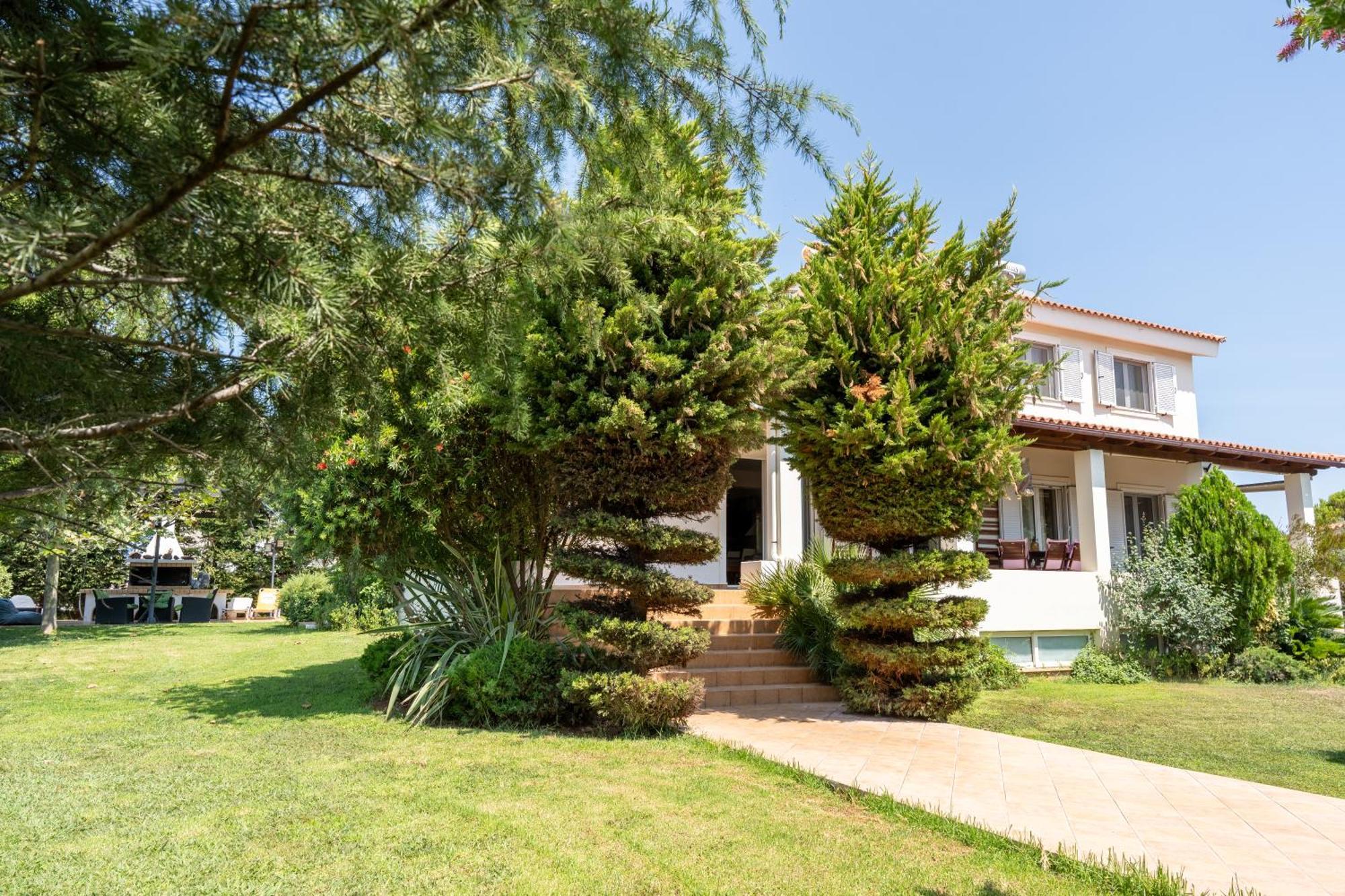 Beautiful Summer Villa In Chalkoutsi Khalkoutsion Екстериор снимка