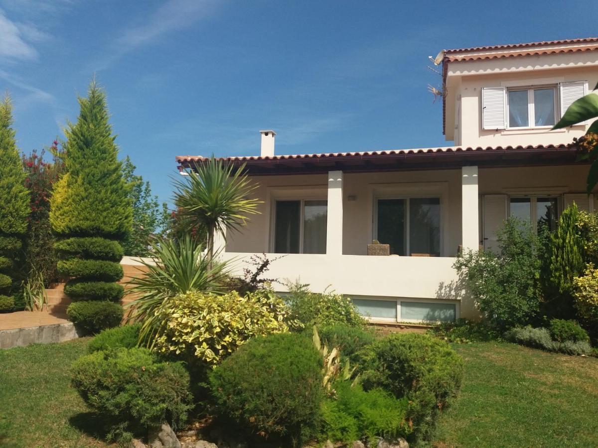 Beautiful Summer Villa In Chalkoutsi Khalkoutsion Екстериор снимка