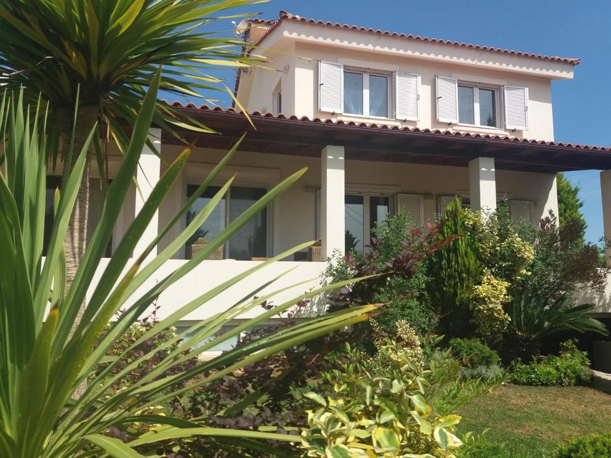 Beautiful Summer Villa In Chalkoutsi Khalkoutsion Екстериор снимка
