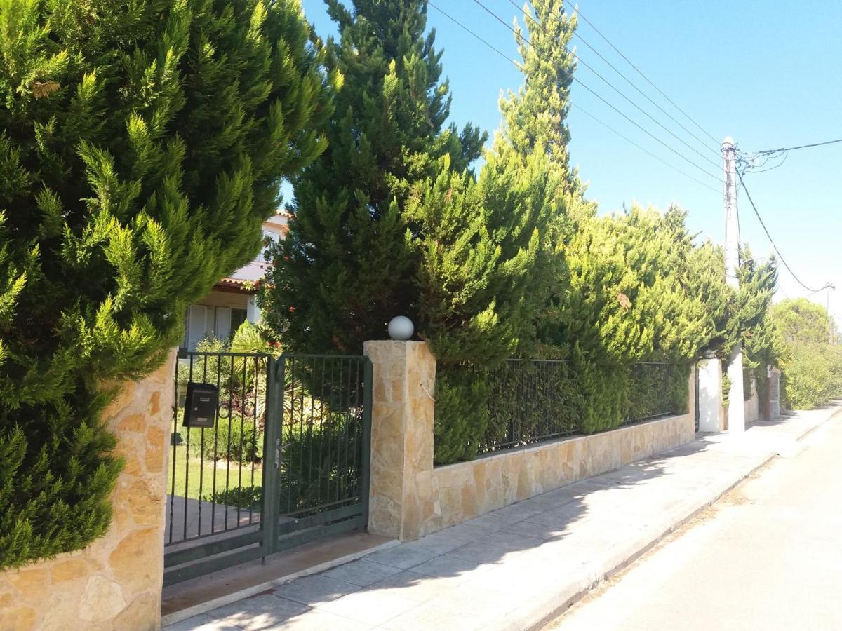 Beautiful Summer Villa In Chalkoutsi Khalkoutsion Екстериор снимка