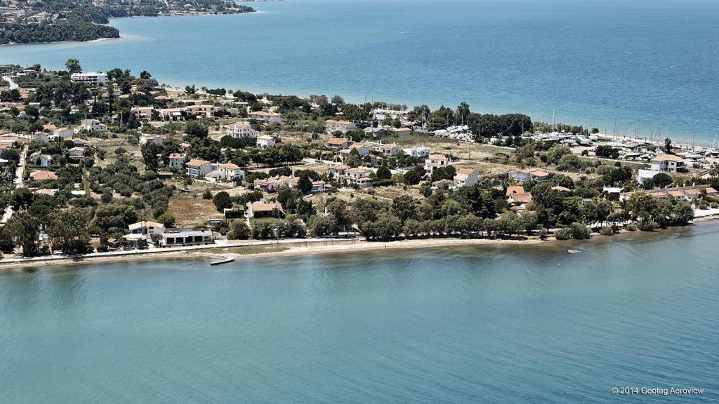 Beautiful Summer Villa In Chalkoutsi Khalkoutsion Екстериор снимка